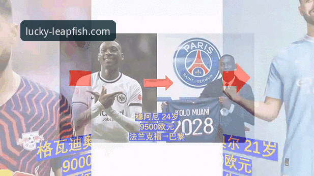夏窗转会动态实用指南：从德甲风云看乐鱼体育平台观赛价值